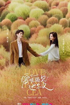 爱情有什么道理